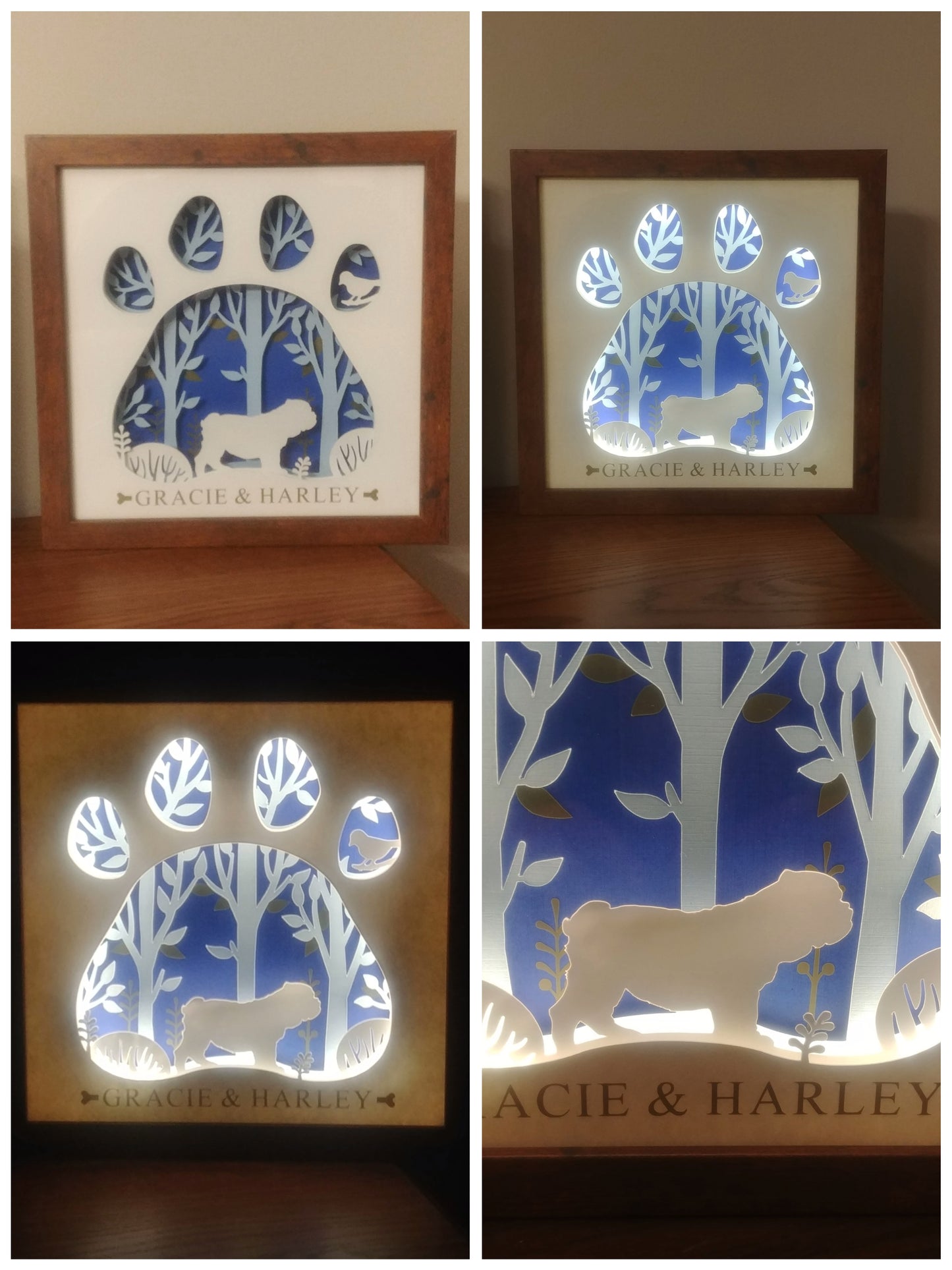 Dog Light Box