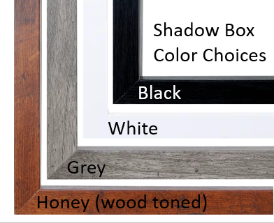 Cat Light Box