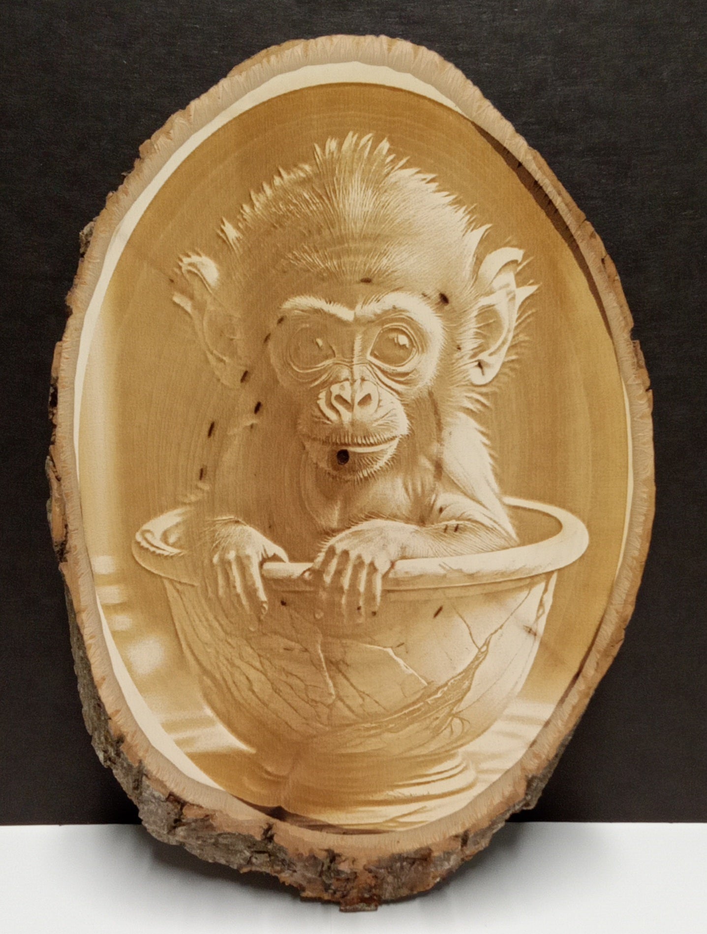 Living Wood Plaque (Circle)