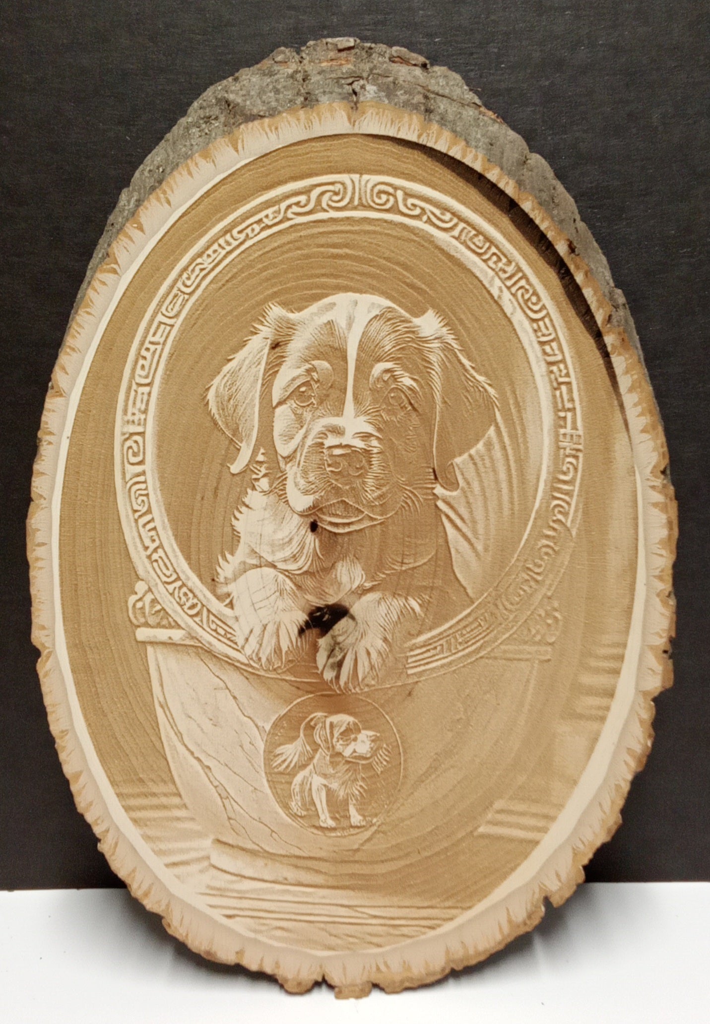 Living Wood Plaque (Circle)