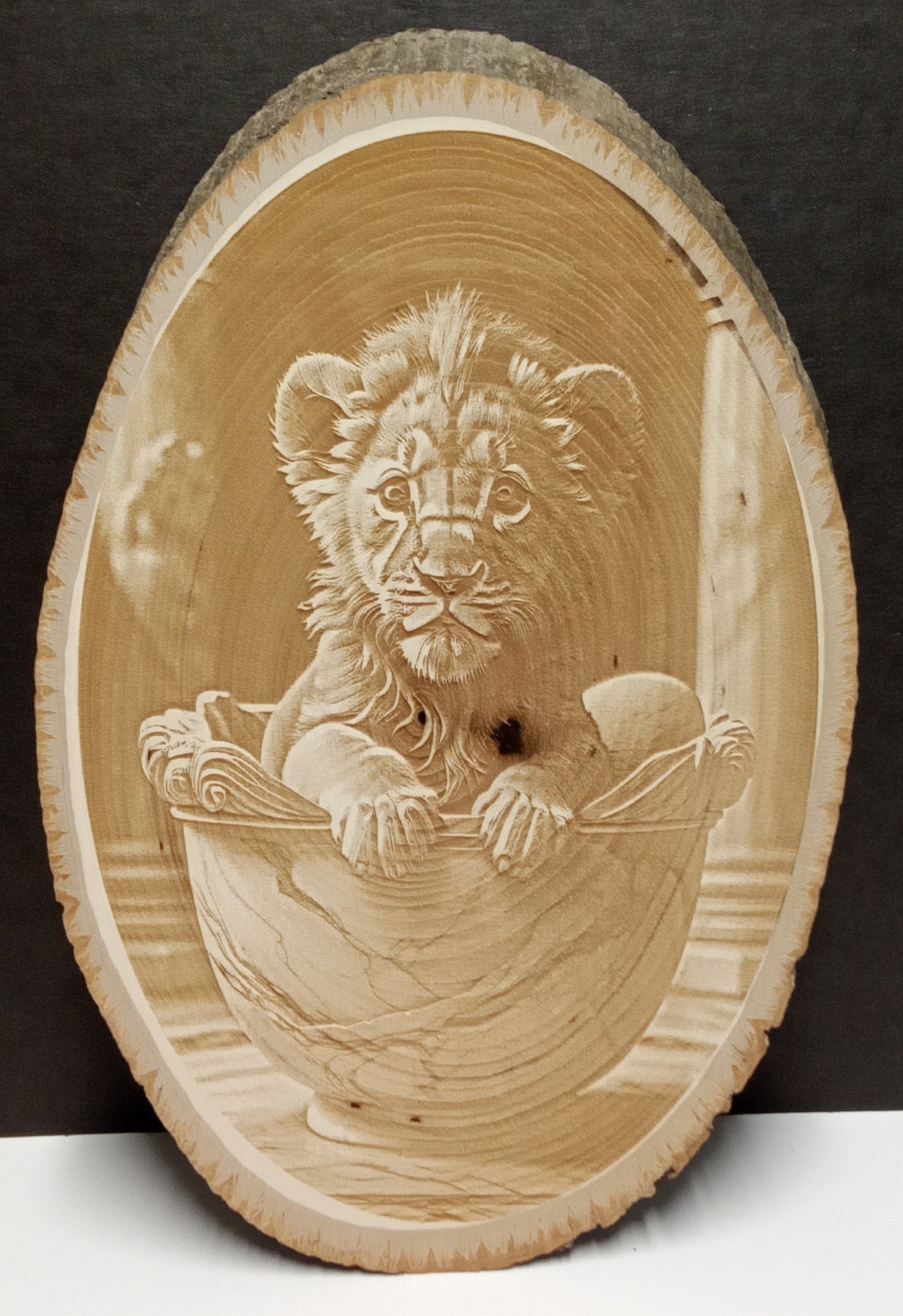 Living Wood Plaque (Circle)