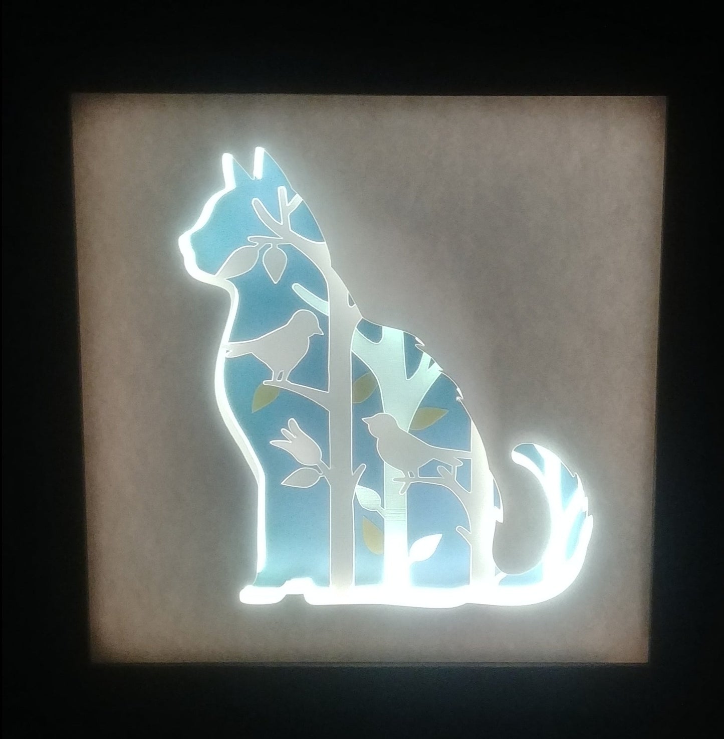 Cat Light Box