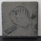 Slate Coasters 4x4