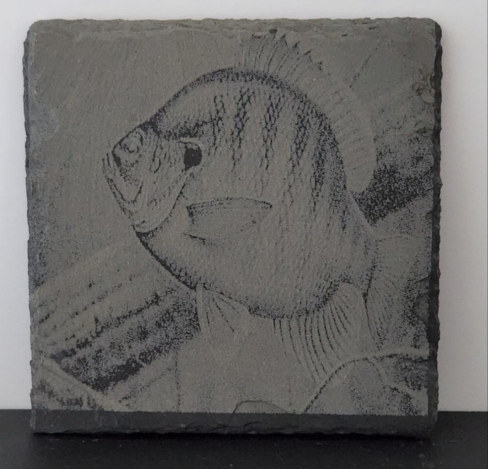 Slate Coasters 4x4