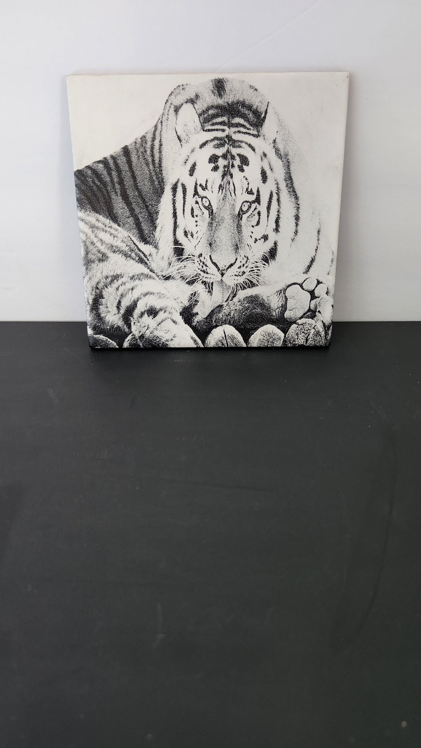 Decorative Ceramic Tiles (Scratch Resistant)