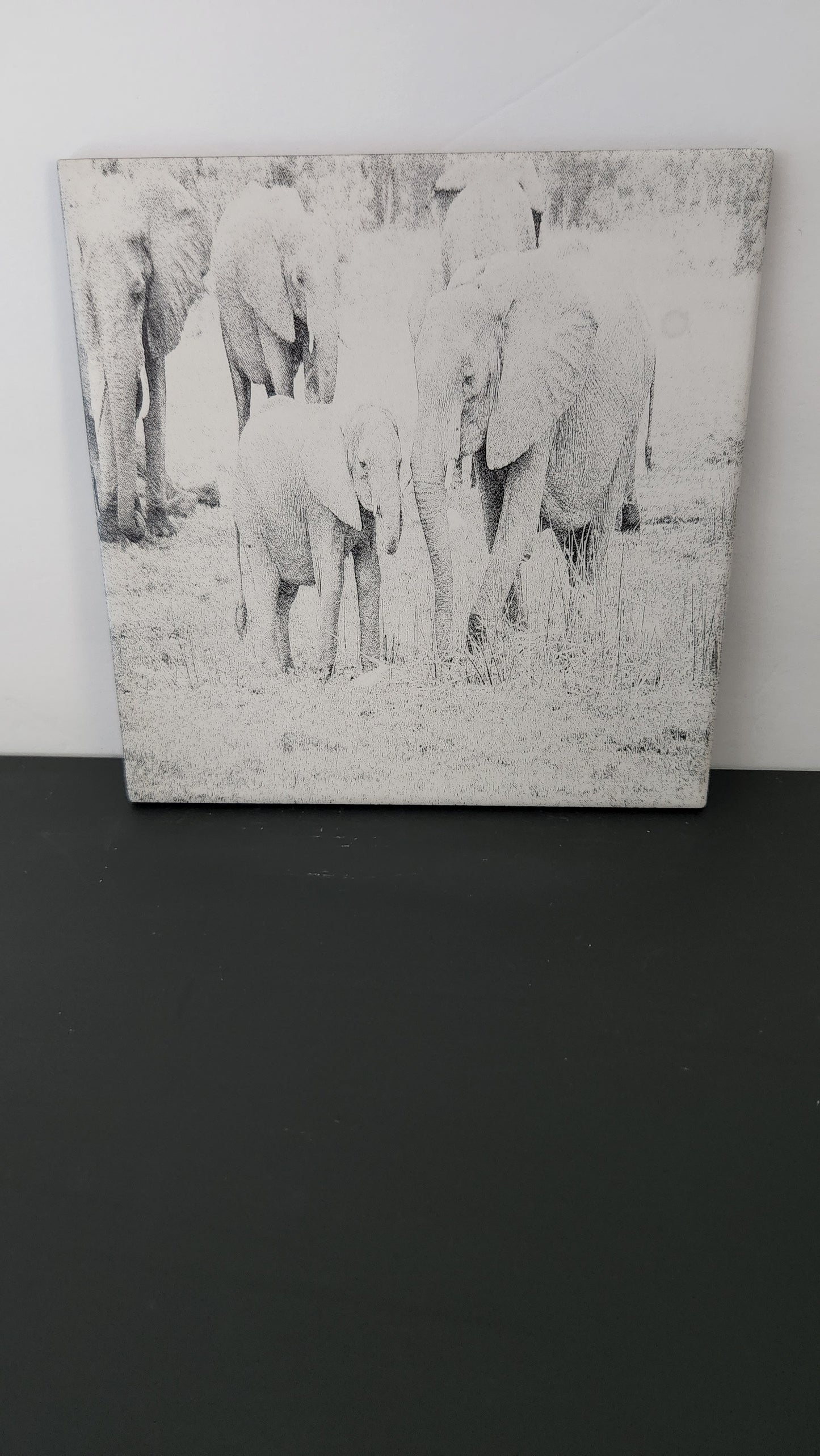 Decorative Ceramic Tiles (Scratch Resistant)