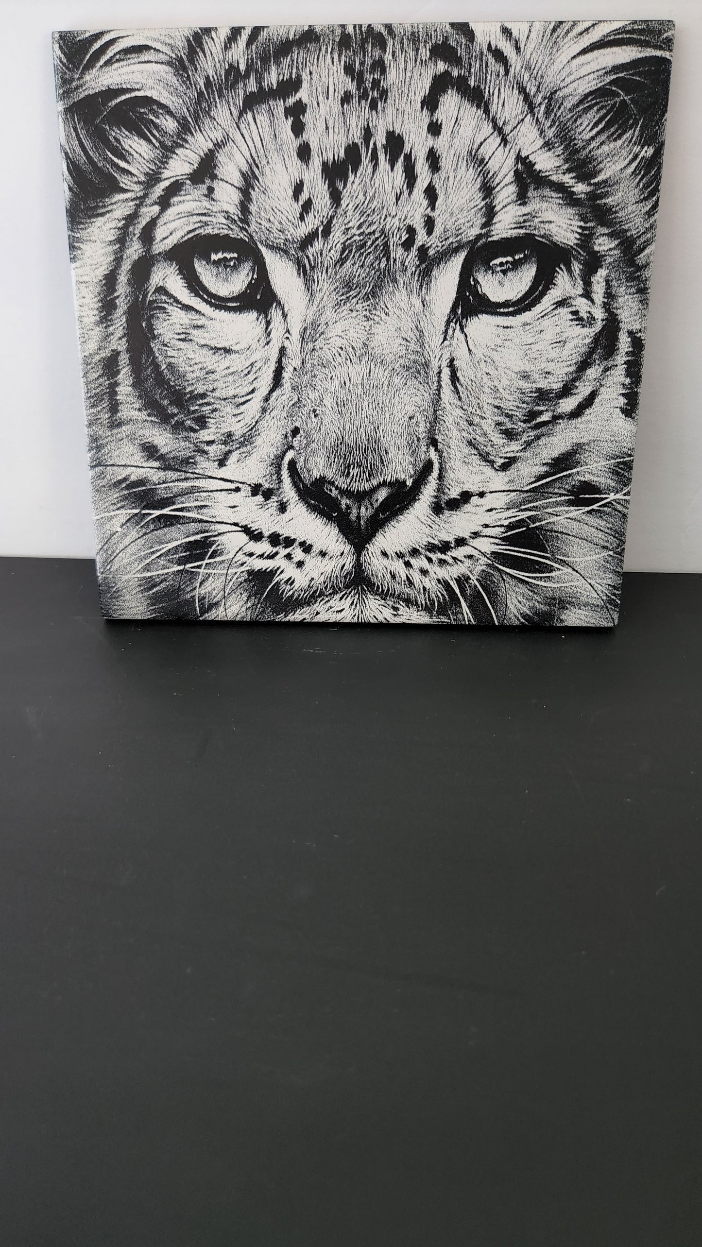 Decorative Ceramic Tiles (Scratch Resistant)