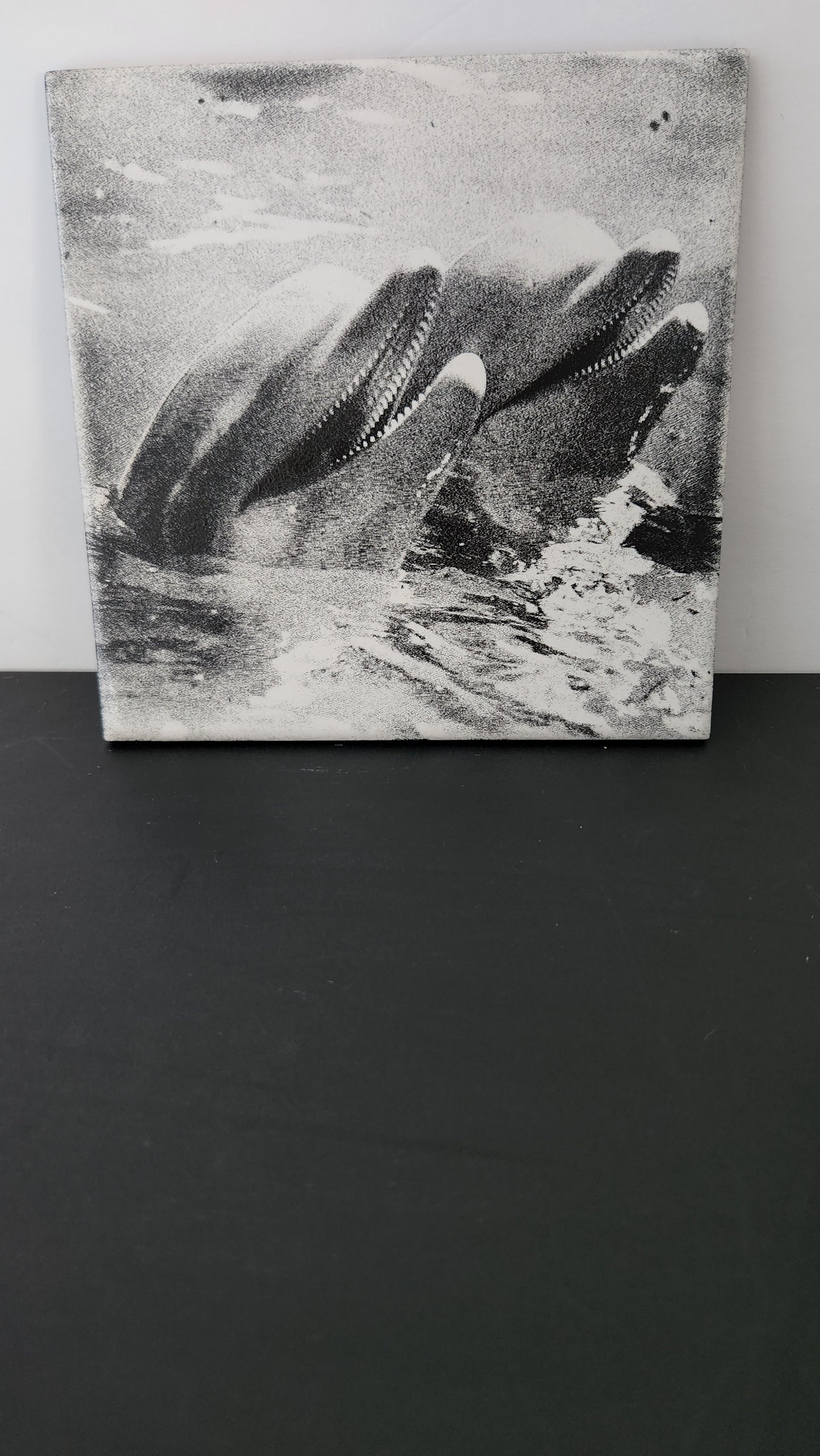 Decorative Ceramic Tiles (Scratch Resistant)